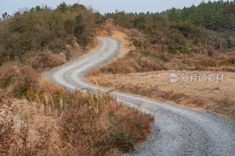 乡村蜿蜒碎石路周边草木枯黄景象