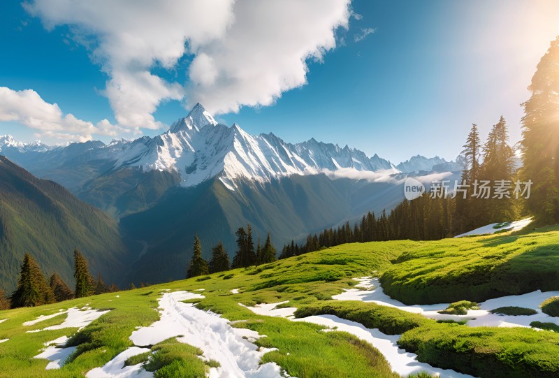 雪山高原草原森林风景