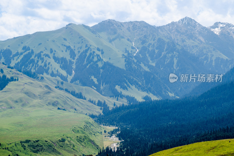 夏日，新疆恰西草原风光