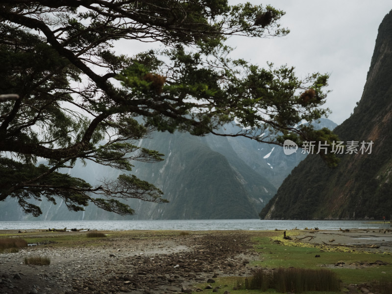 新西兰米佛峡湾Milford Sound