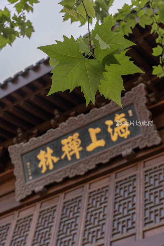 上海玉佛禅寺海上禅林玉佛寺寺庙