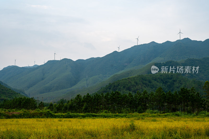 高山田野景观