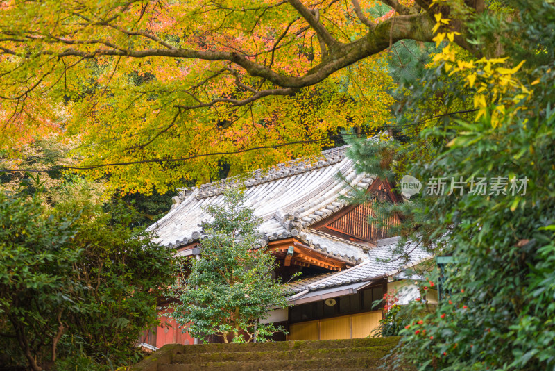 京都自然风光