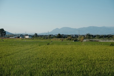 田野农田远景及远处山峦