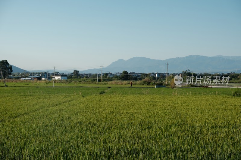 田野农田远景及远处山峦