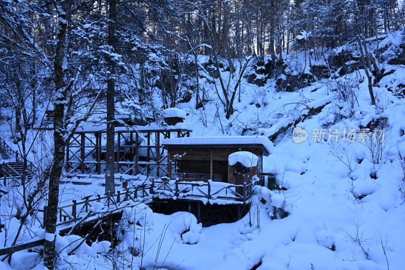 被雪覆盖的林间小屋及栈道