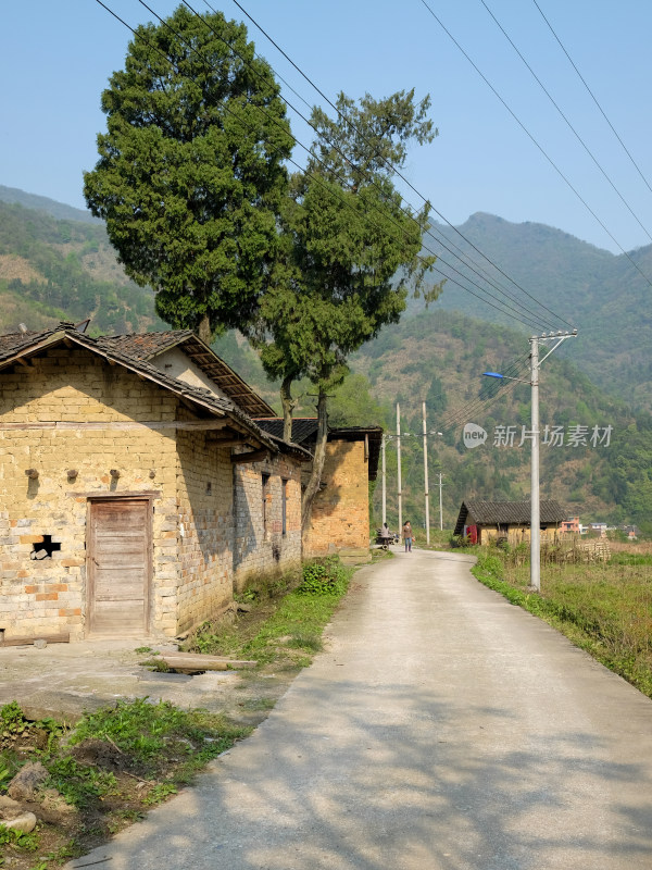 咸宁乡村风景