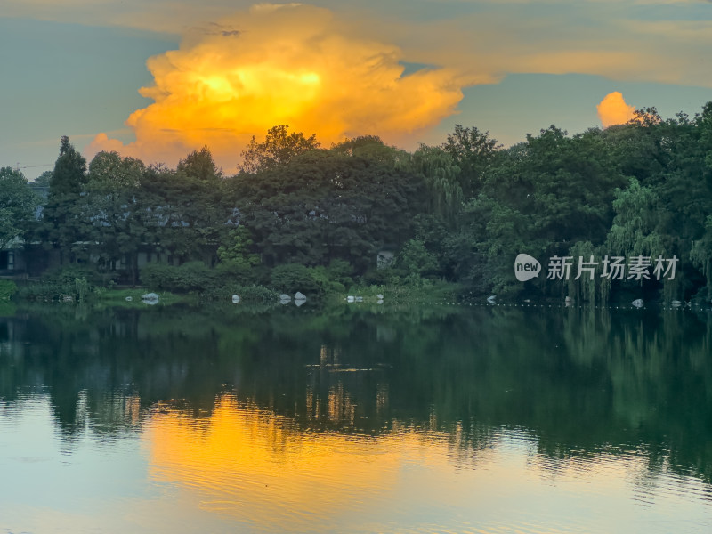 夕阳西下的天空衬托下树木的轮廓