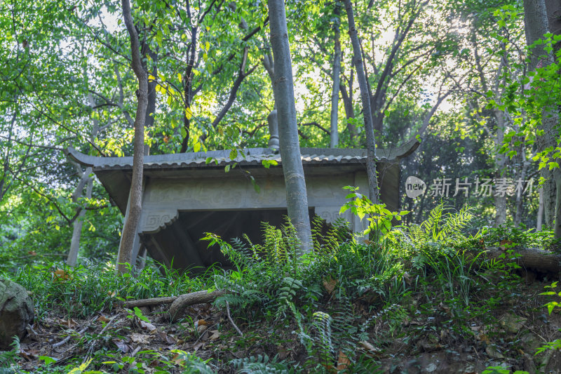 杭州宝石山景区金鼓洞景点