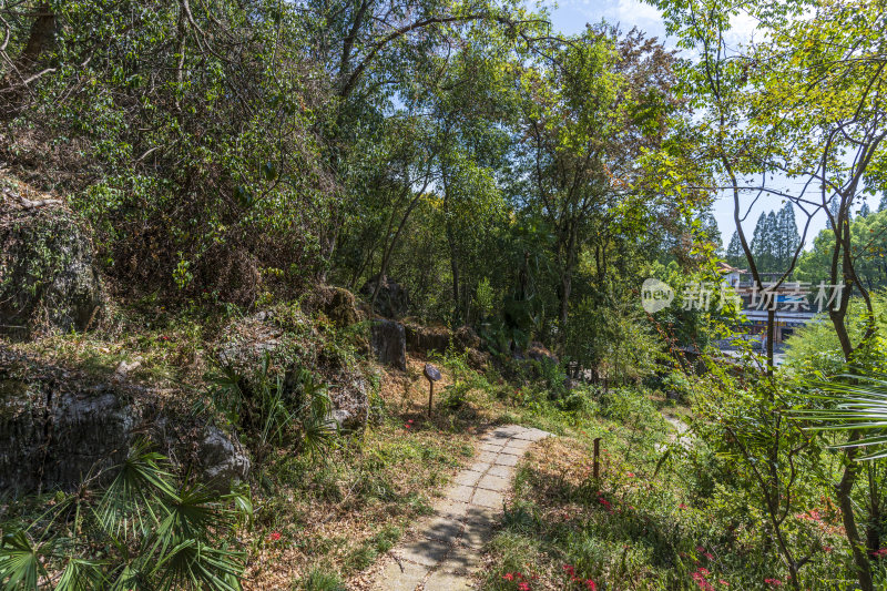 武汉江夏区白云洞景区风景