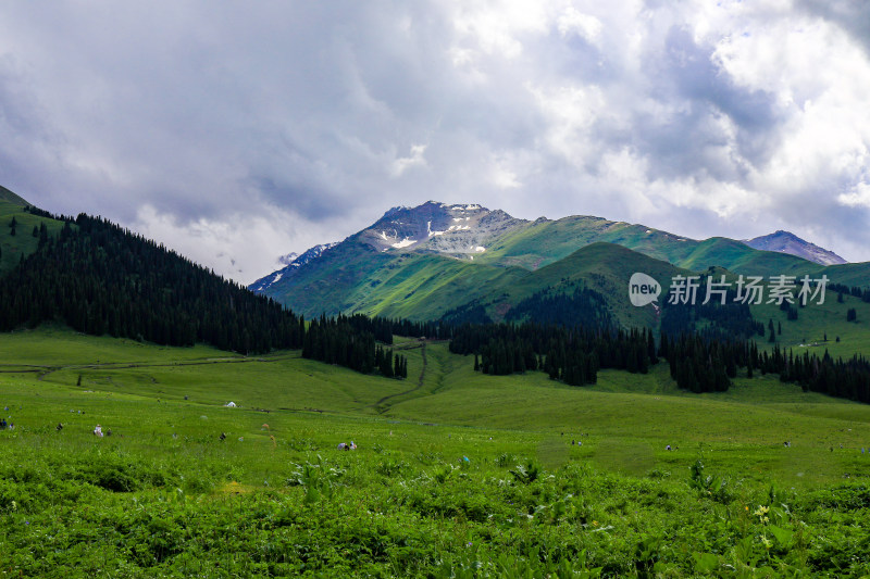 雪山草原森林游牧人家