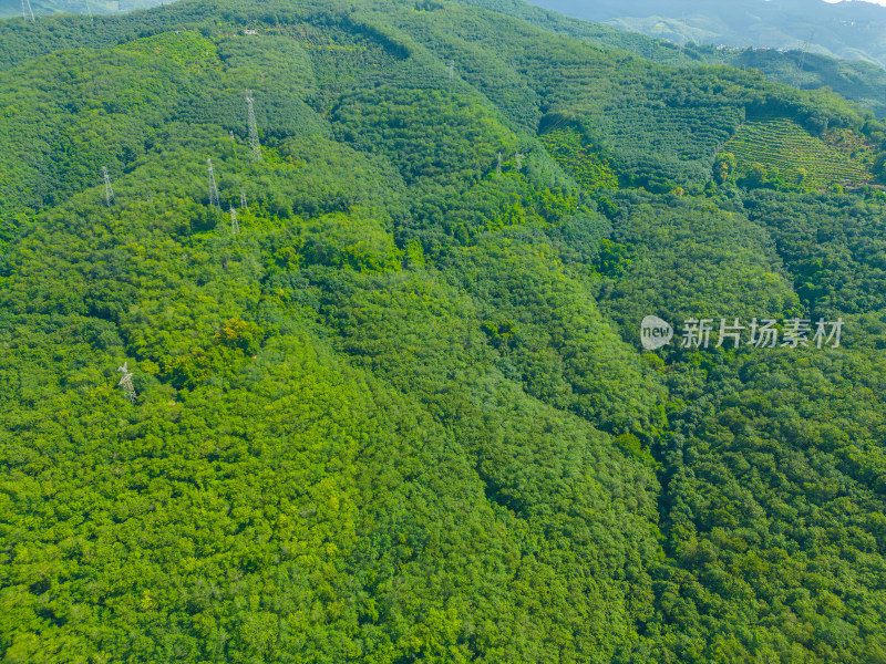 航拍西双版纳山脉自然风光