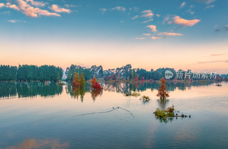 滇池湿地秋景