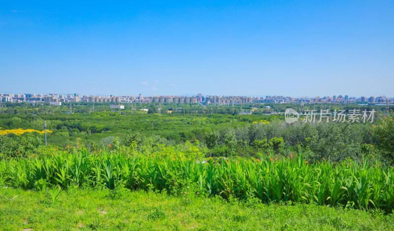 城市风景线