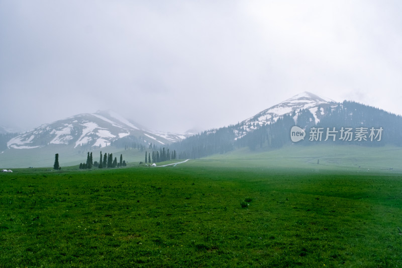 新疆伊犁那拉提雪山草原风光