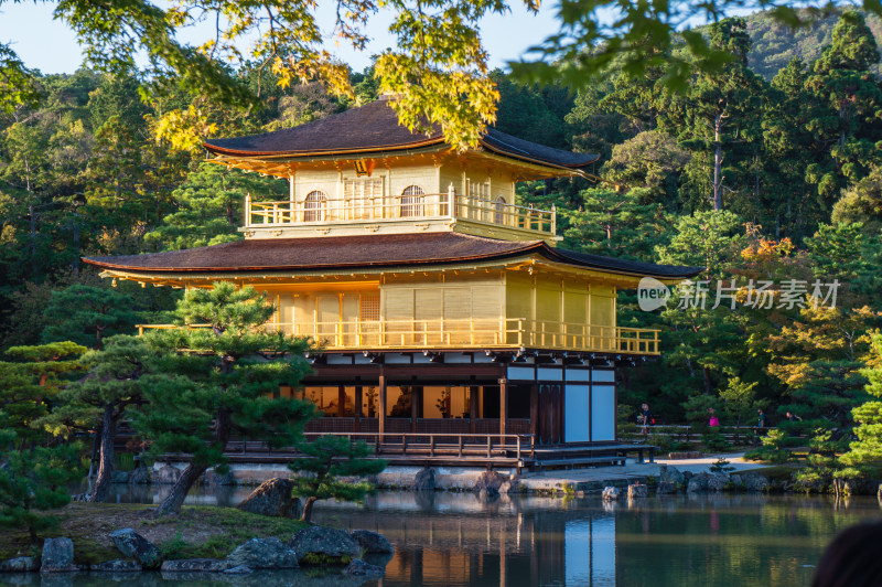 日本京都金阁寺金色舍利殿近景特写