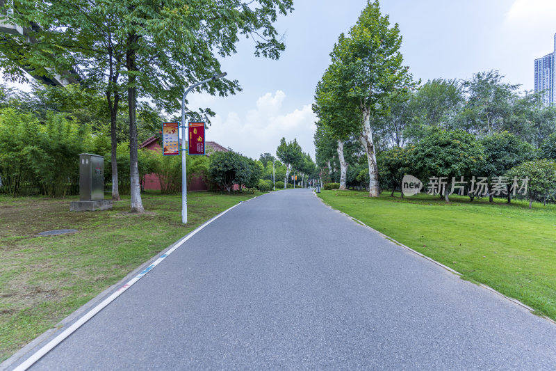 武汉青山区戴家湖公园风景