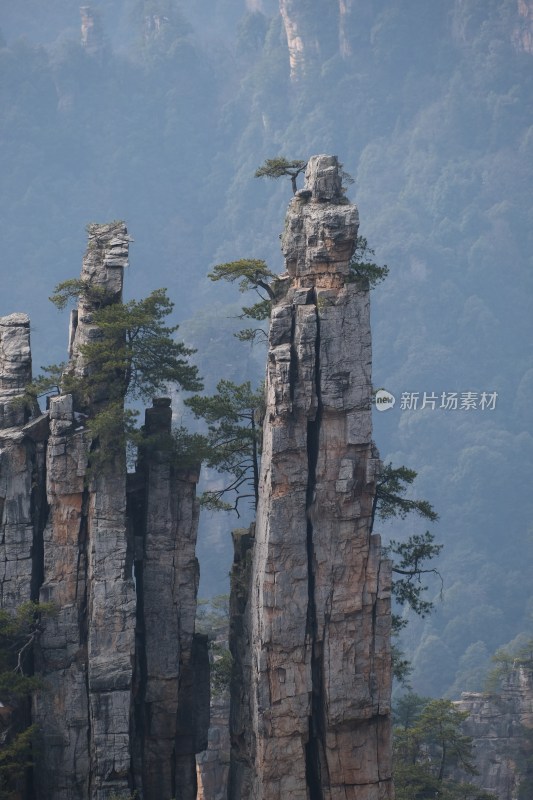 张家界奇峰异石景观