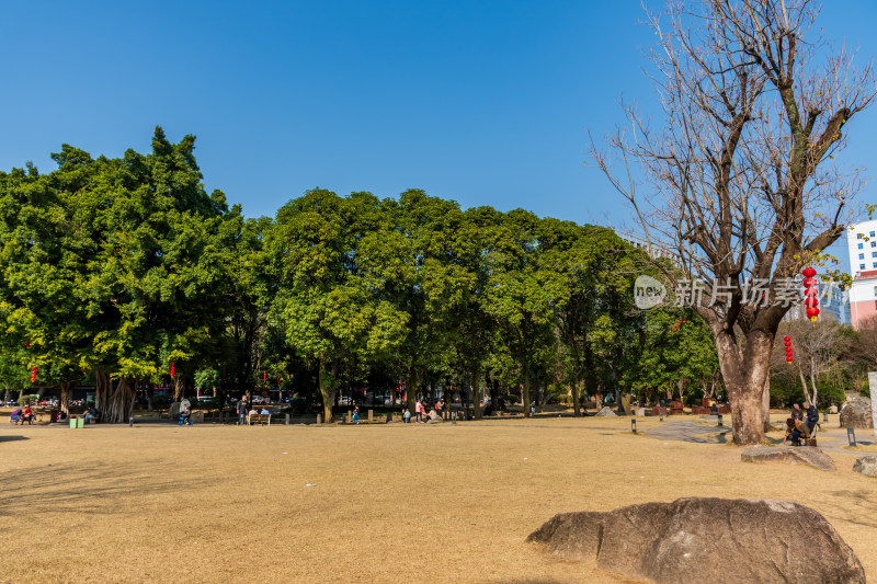 福州春天绿意盎然的冶山春秋公园景色