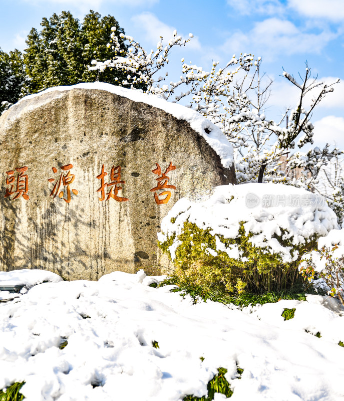 上海嘉定安亭老街菩提禅寺雪景