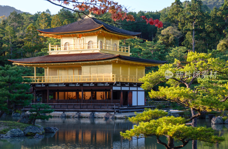 日本京都金阁寺金色舍利殿近景特写