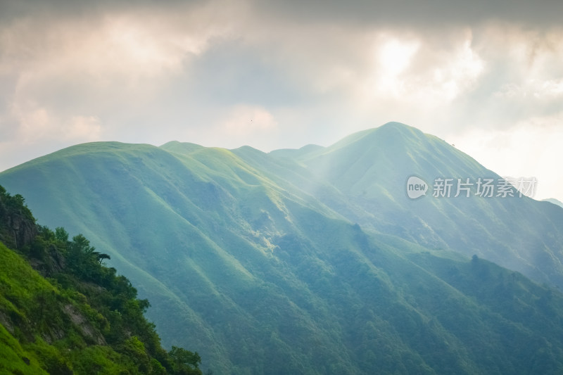 江西武功山高山草甸