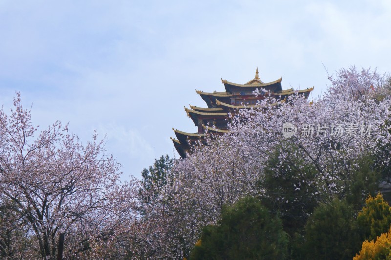 大佛寺建筑