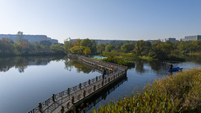 中国杭州阿里巴巴西溪园区秋日美景