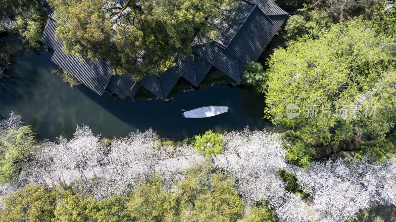 杭州西湖古风建筑与樱花树下的小船