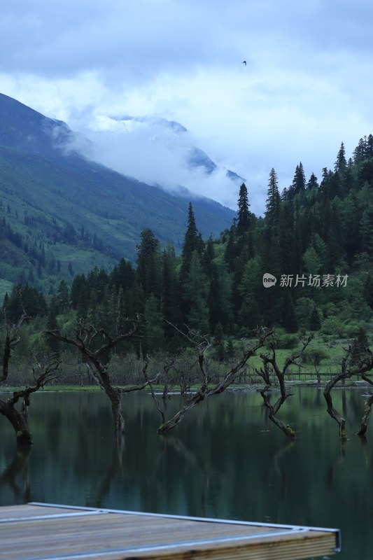 山林间湖水边枯树挺立的自然景观