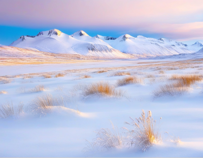 高山雪地