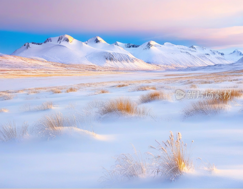 高山雪地