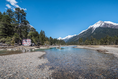 西藏林芝 巍峨雪山溪流湖泊与原始森林特写