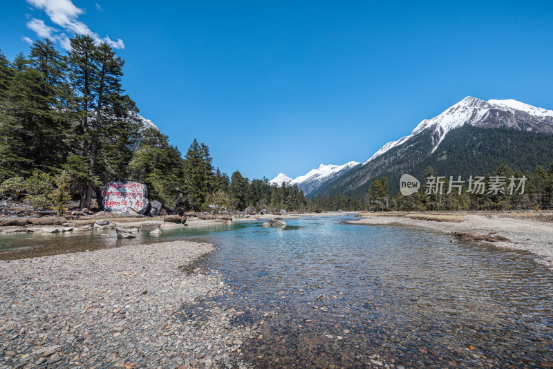 西藏林芝 巍峨雪山溪流湖泊与原始森林特写