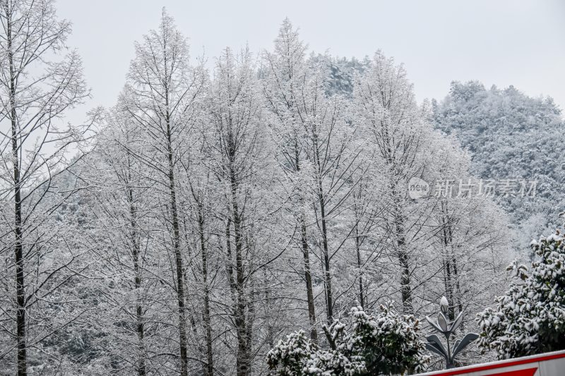 重庆酉阳：大雪纷飞赏雪忙