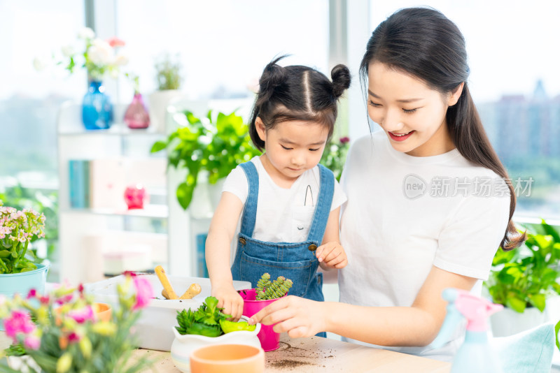 快乐的母女俩在家种植盆栽