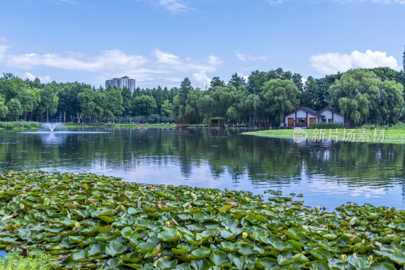 武汉武昌区紫阳公园风景