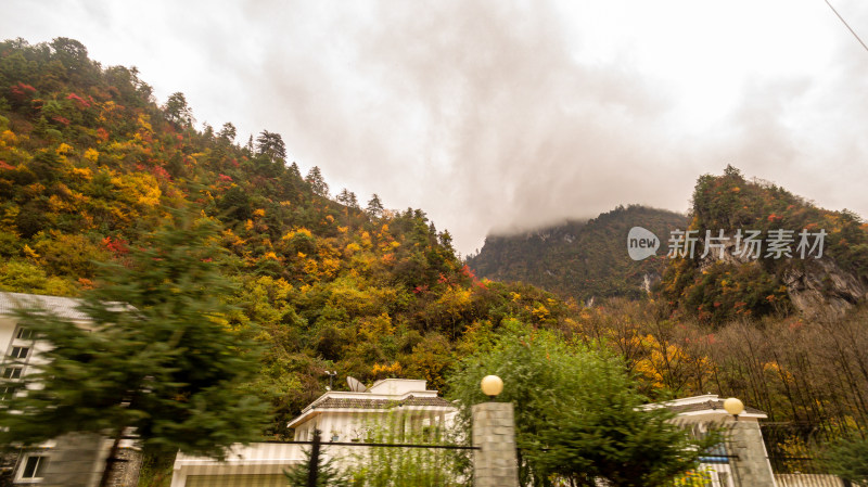 秋天树林云雾山峰