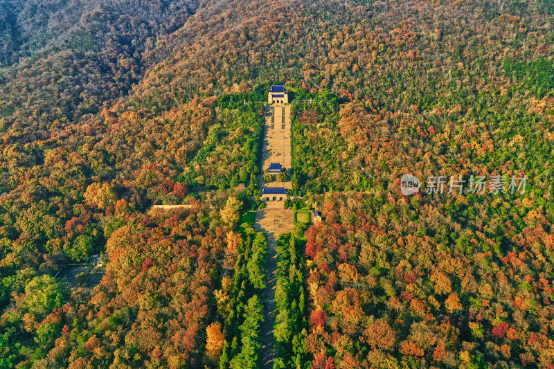 南京钟山的秋天美景