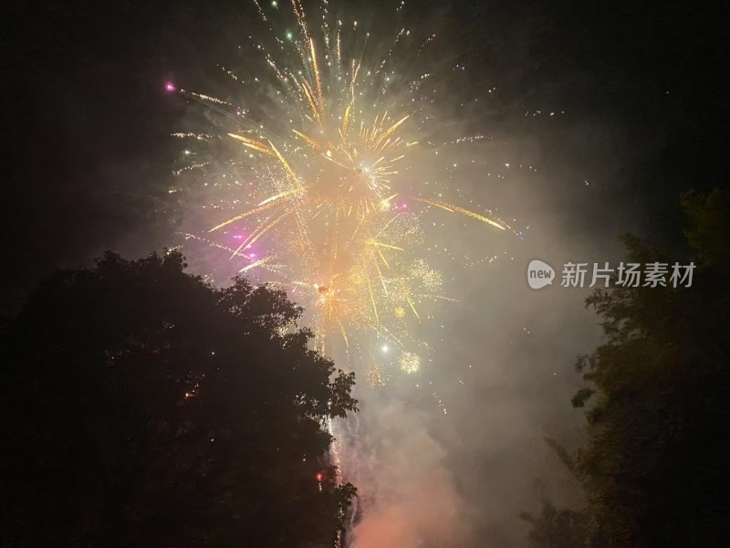 夜空绽放的绚丽烟花