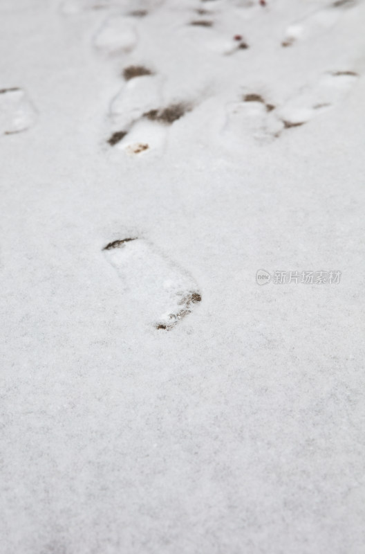 地面上一层薄雪和几个脚印