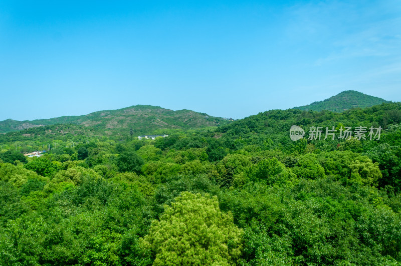 山中的自然风景