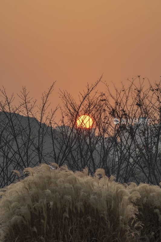 冬季夕阳照耀金色的苏州狮子山和它的倒影