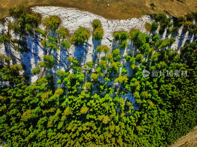 航拍雪山森林