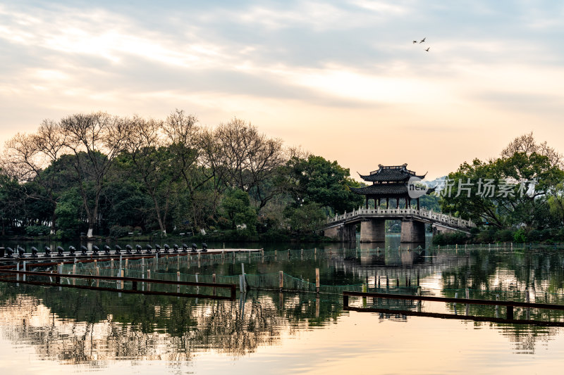 杭州西湖曲院风荷苏堤白堤雷峰塔景点景观