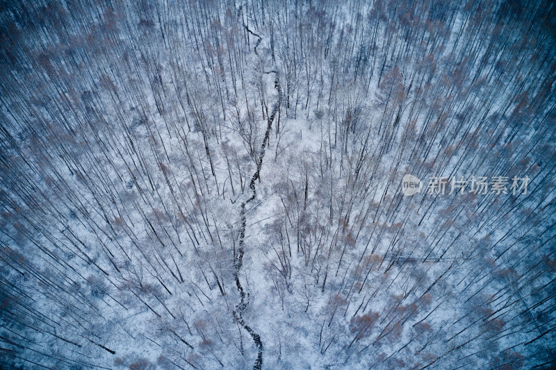 白雪覆盖的长白山