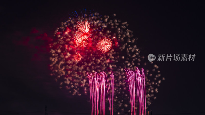 绚烂多彩的夜空烟花绽放景象