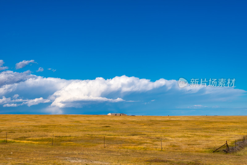 蓝天白云下的牧场