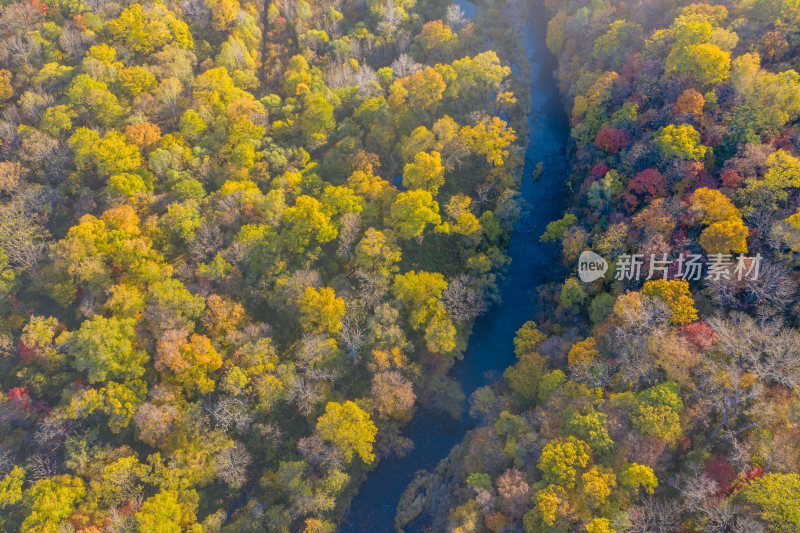 秋季森林与河流