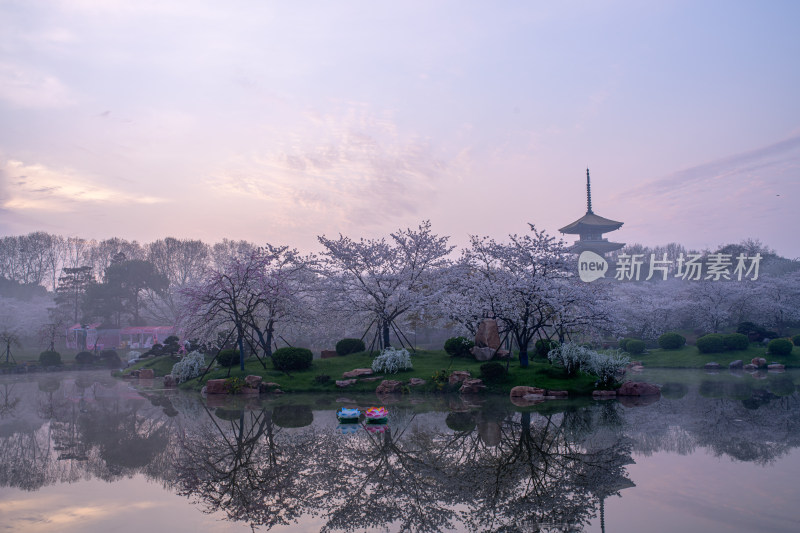 武汉旅游东湖樱花园日出